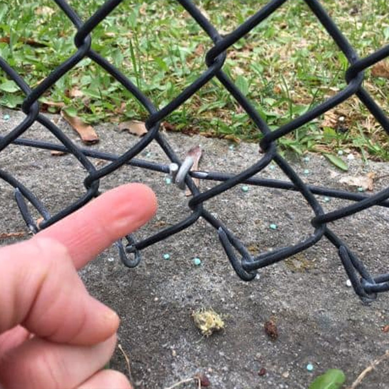 Chain Link Fence